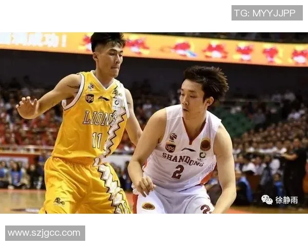 西安篮球队进攻战术解析与球员表现深度剖析